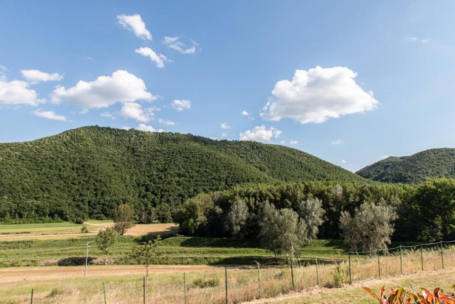 Il Colombaio Agriturismo Montegabbione Eksteriør bilde
