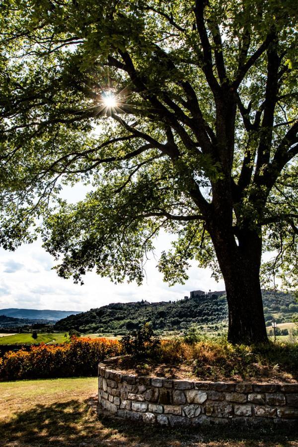 Il Colombaio Agriturismo Montegabbione Eksteriør bilde