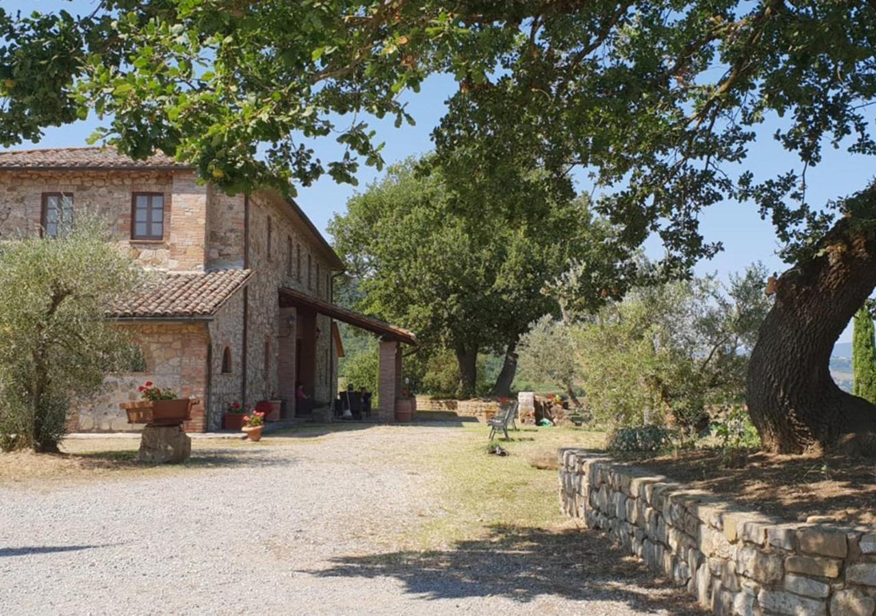 Il Colombaio Agriturismo Montegabbione Eksteriør bilde